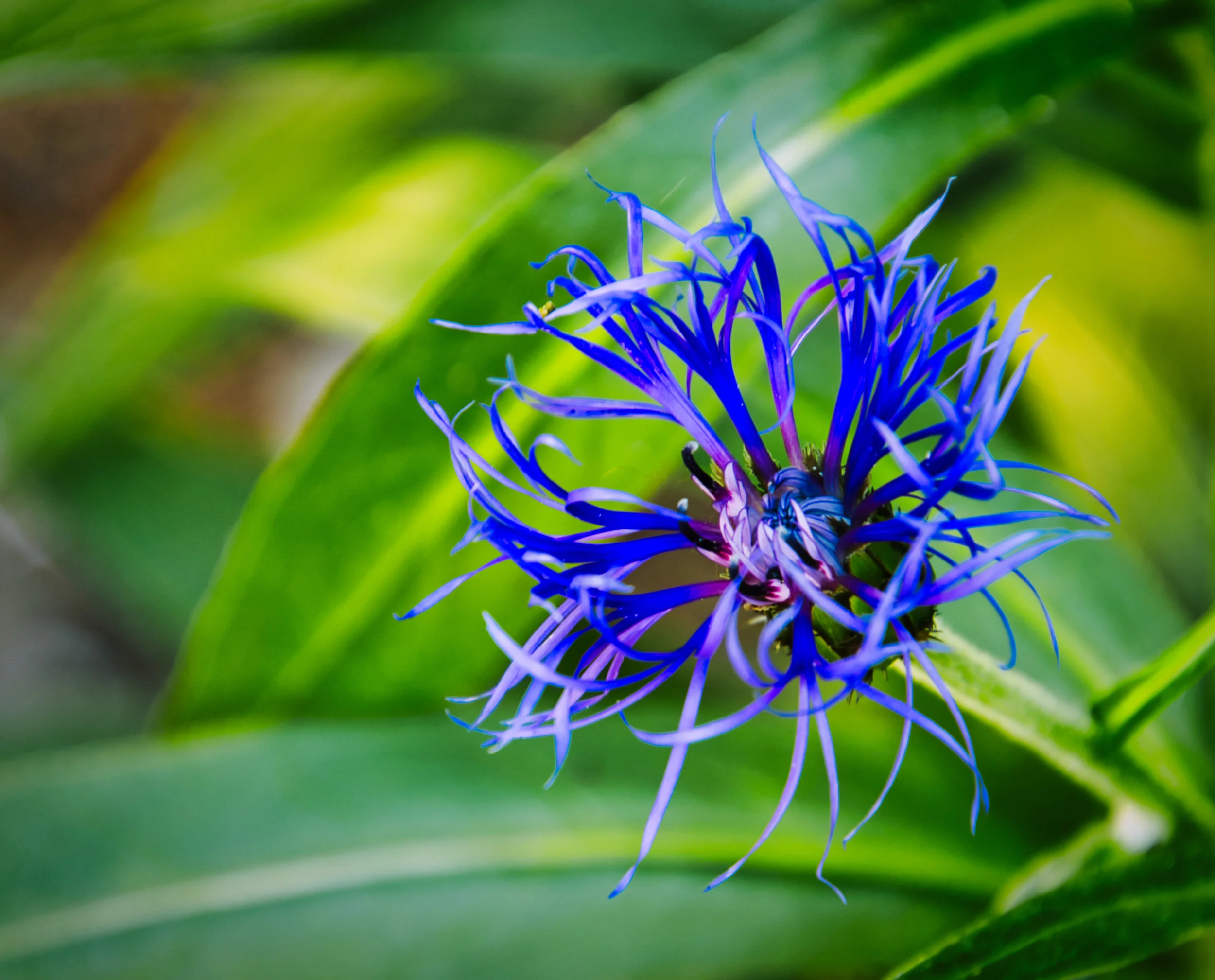 Not sure what this is