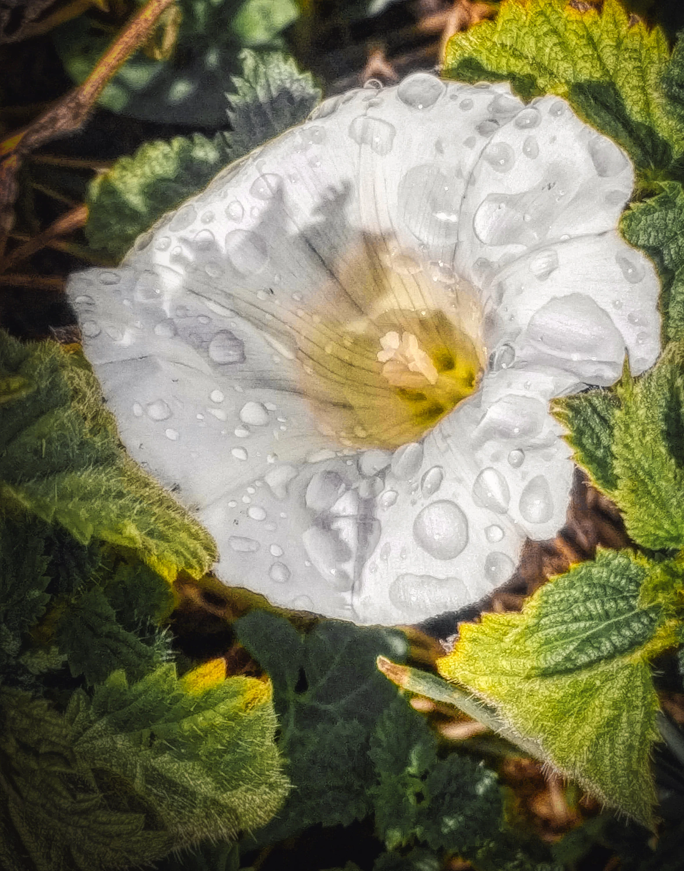 Not sure what this is.