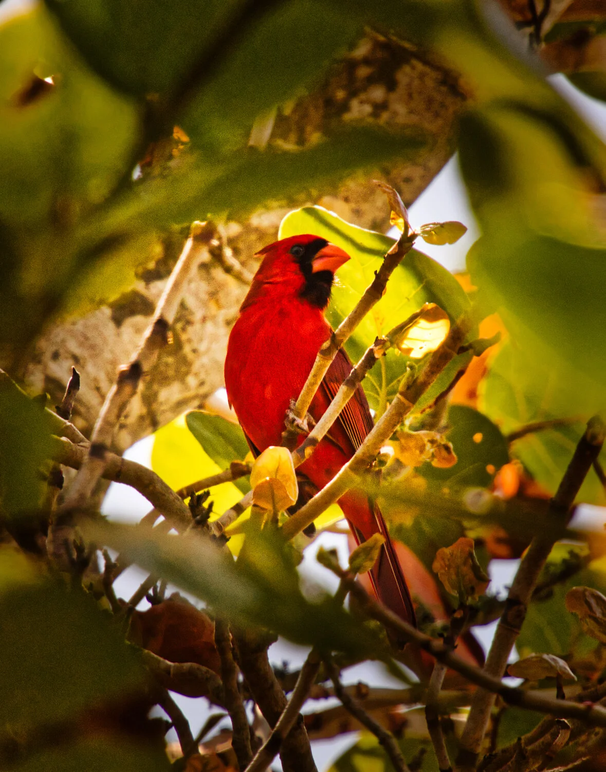 IMG_9169 Darker.jpeg