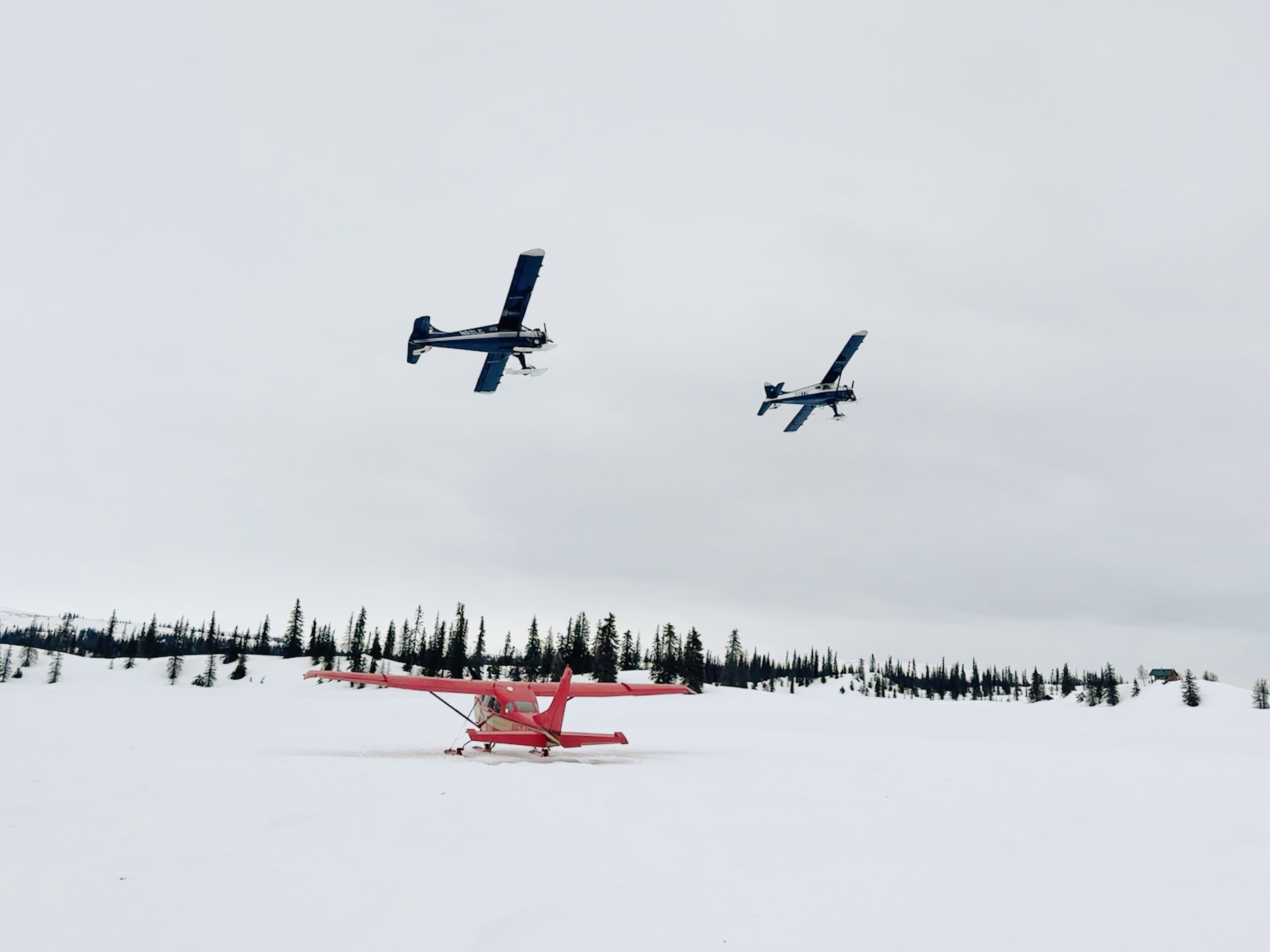 Beaver plane flyover