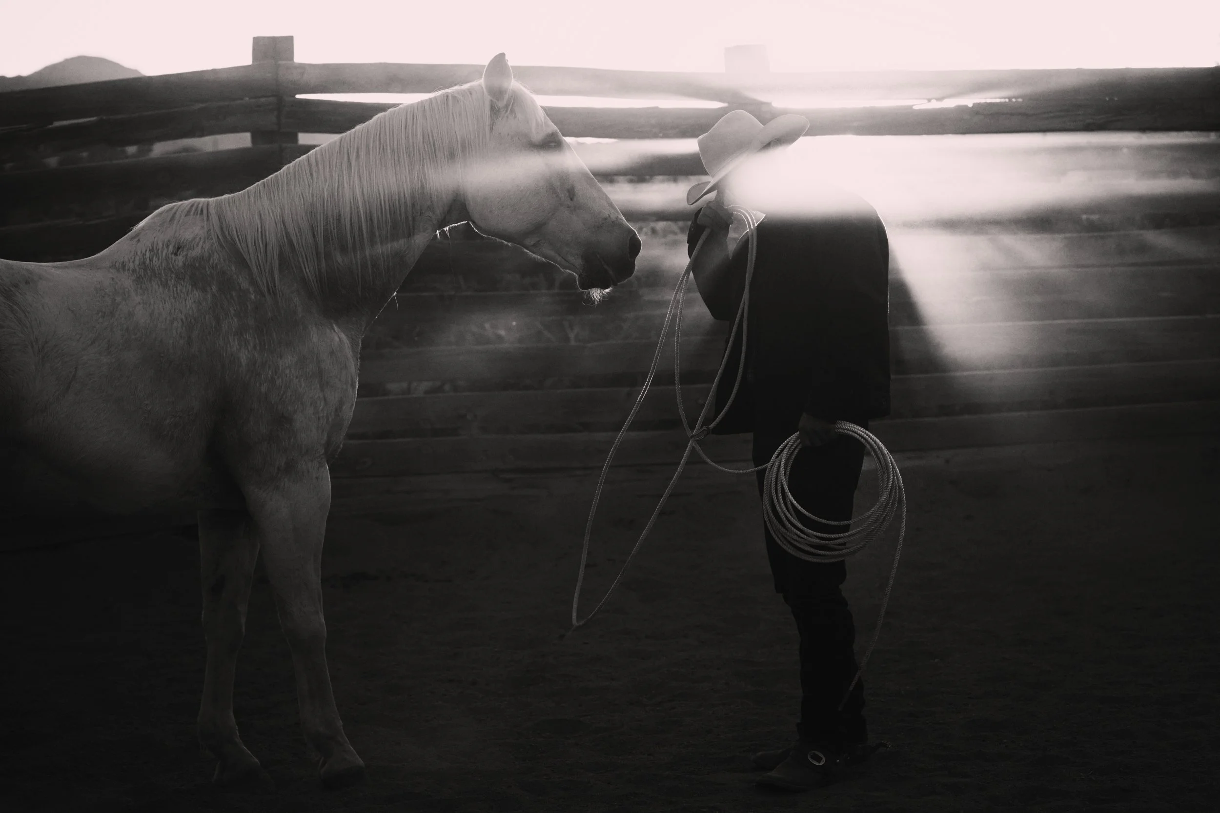 Cowboy and horse with rays of light coming through fence
