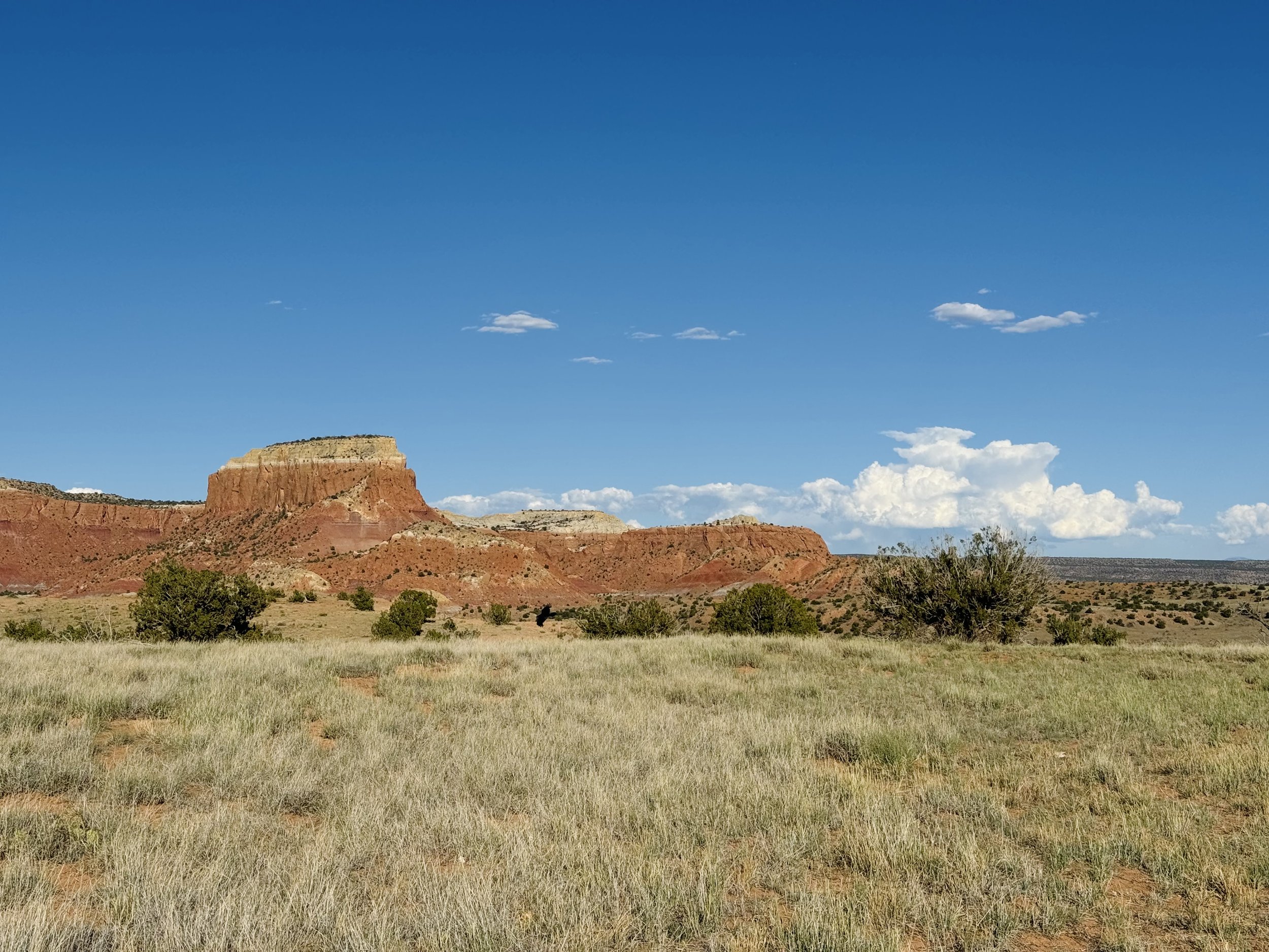 New Mexico landscape