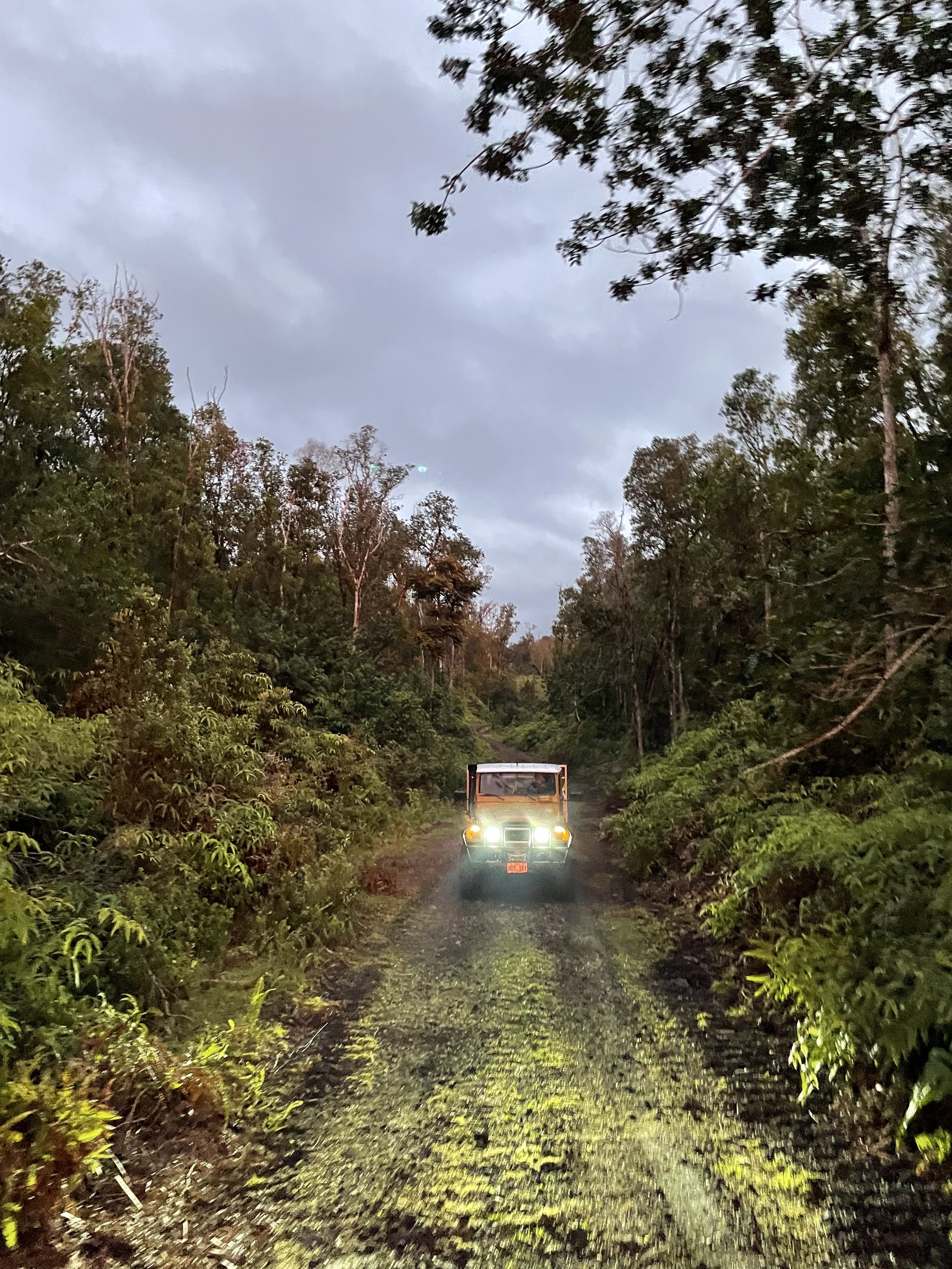 Vintage vehicle driving through the jungle