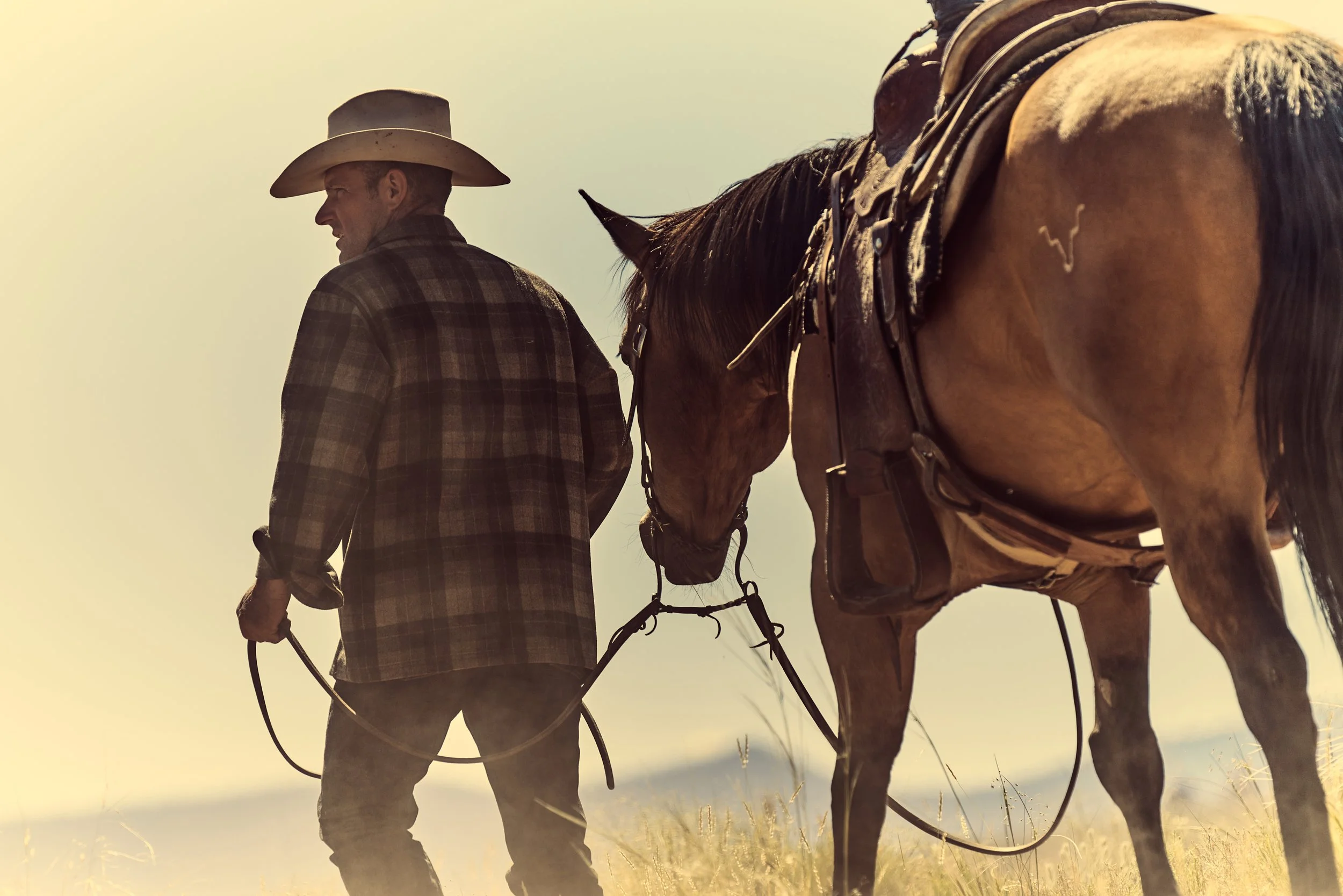 Cowboy and his horse