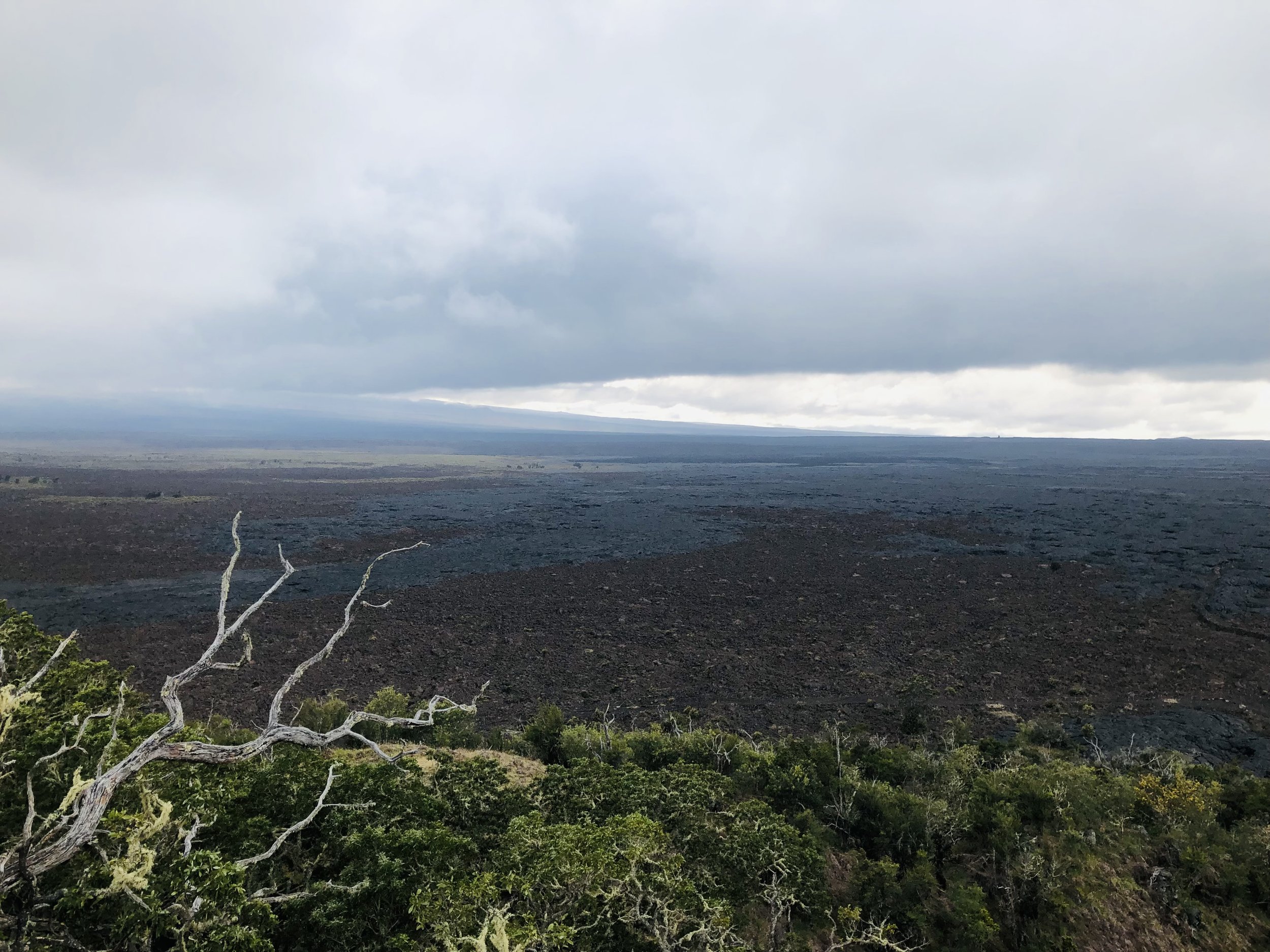 Lava covering the land in Hawaii