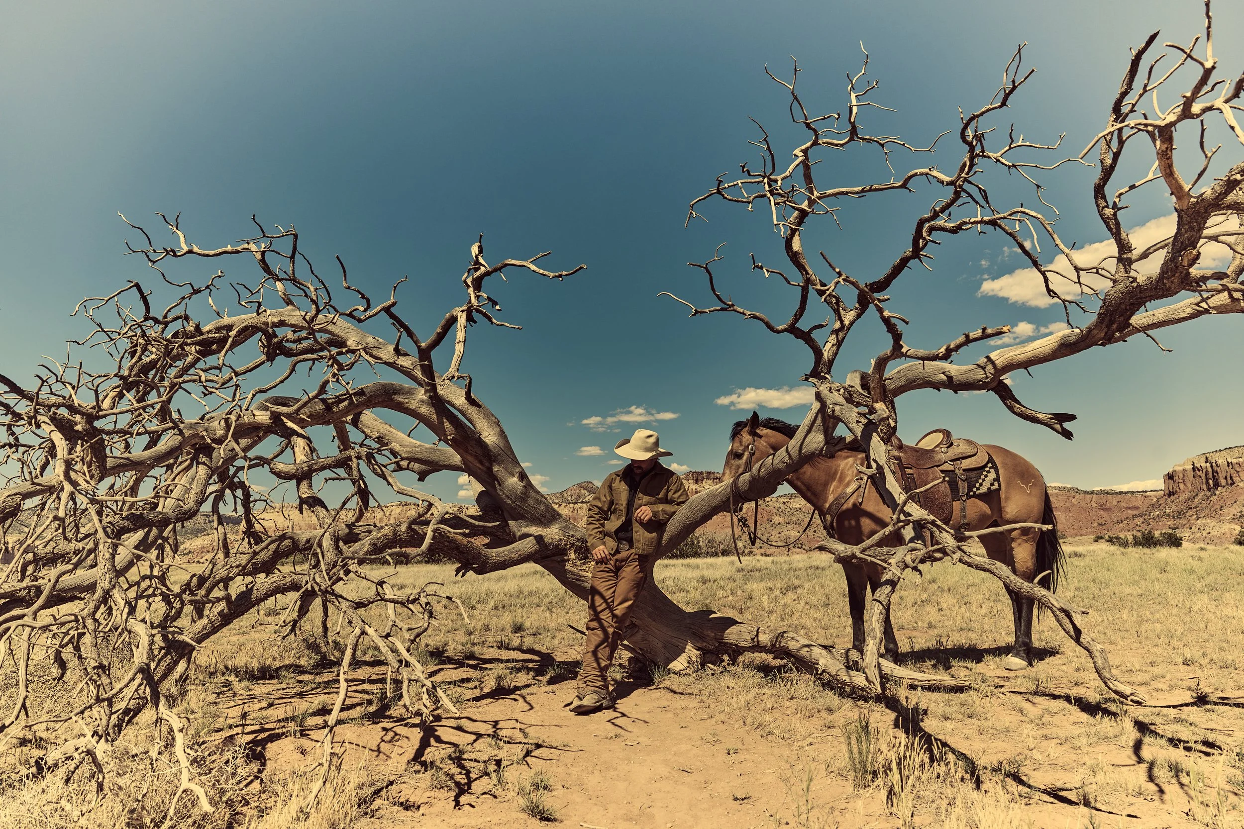Cowboy resting at dead tree