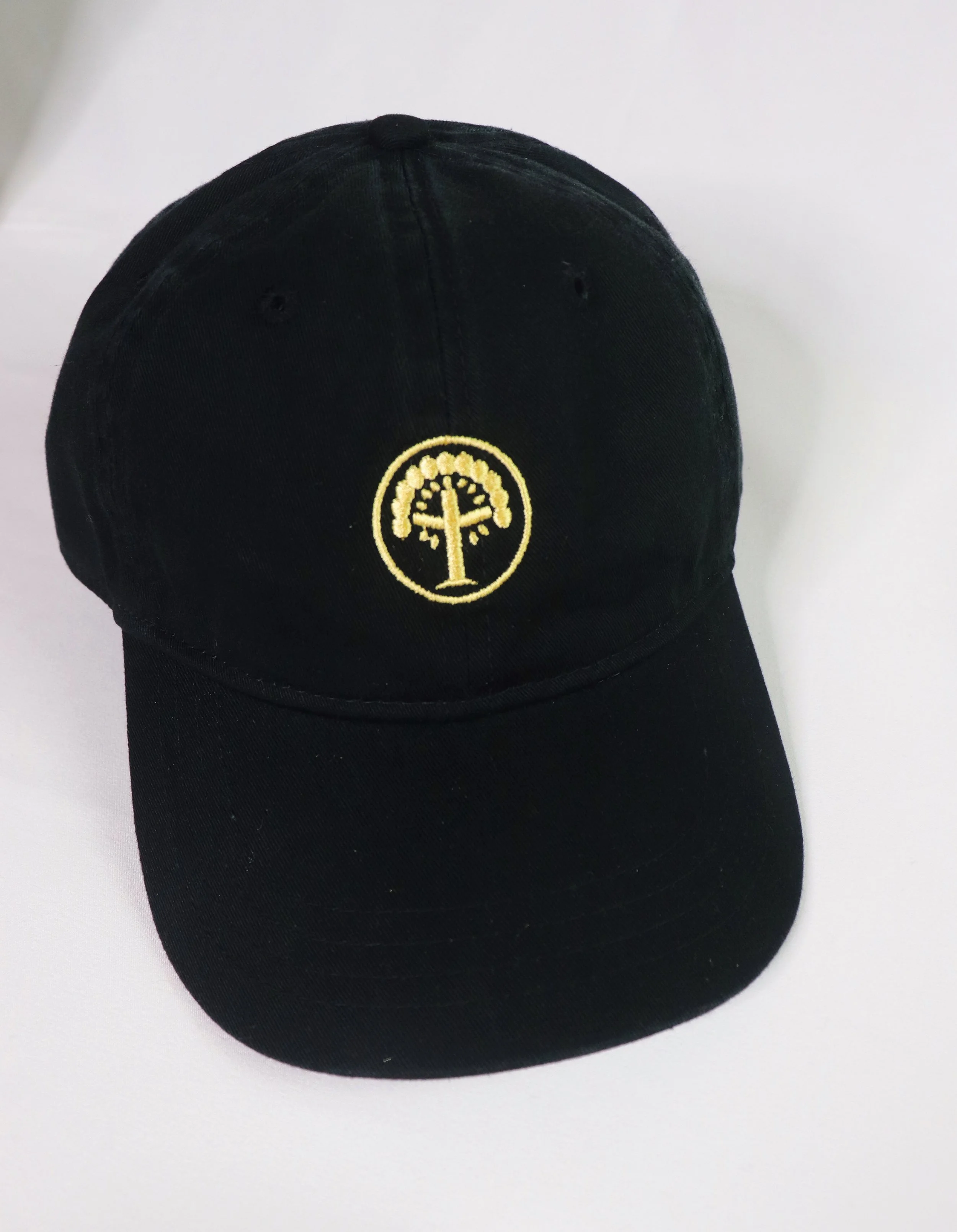 Matthew 17:20 Hat - Black