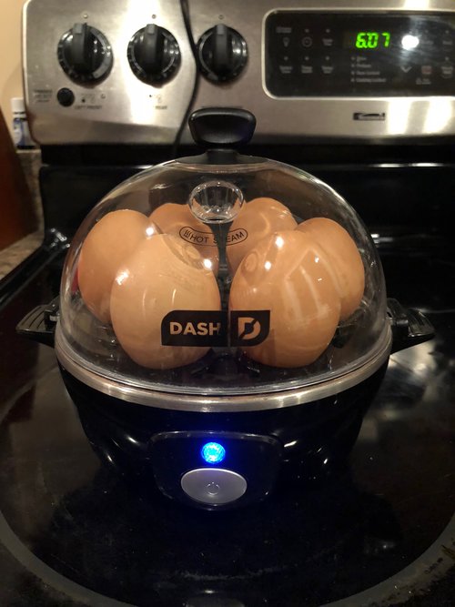 dash everyday egg cooker｜TikTok Search