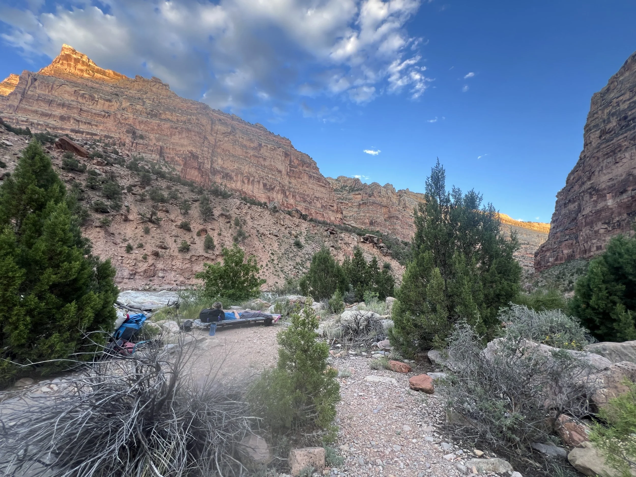 Erkle the Talking Dog