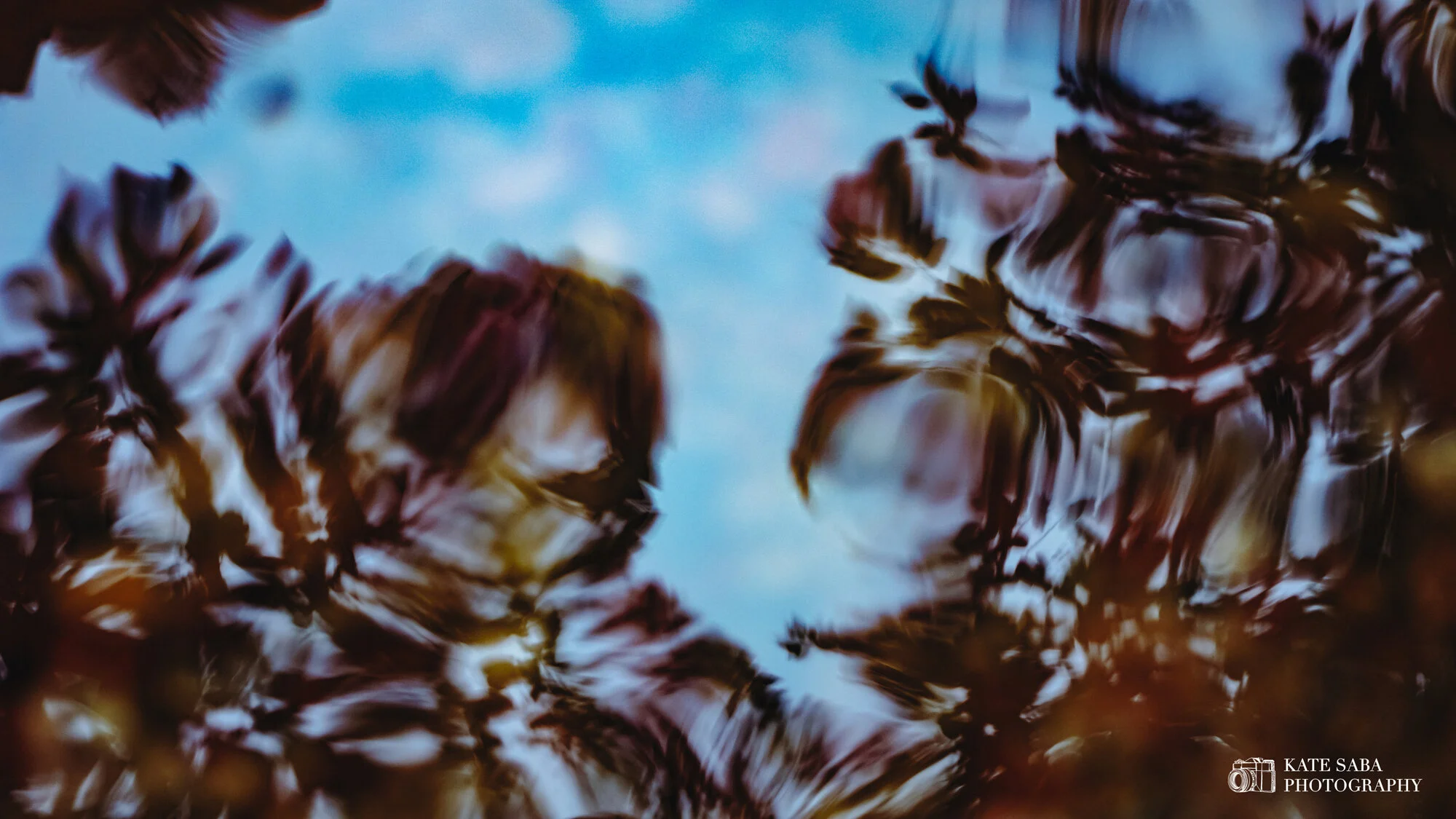 SpellboundHues_KateSaba_Photography.jpg