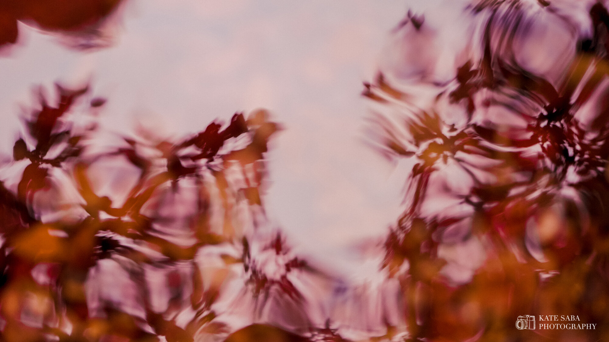 SpellboundWater_RockyMountains_KateSabaPhotography.jpg