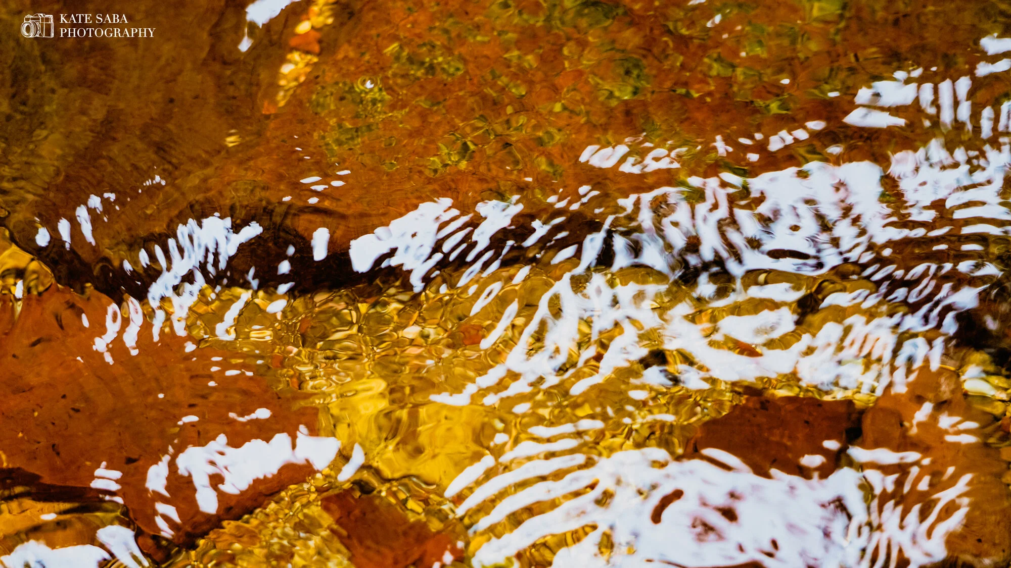 Surface_KateSaba_Photography.jpg