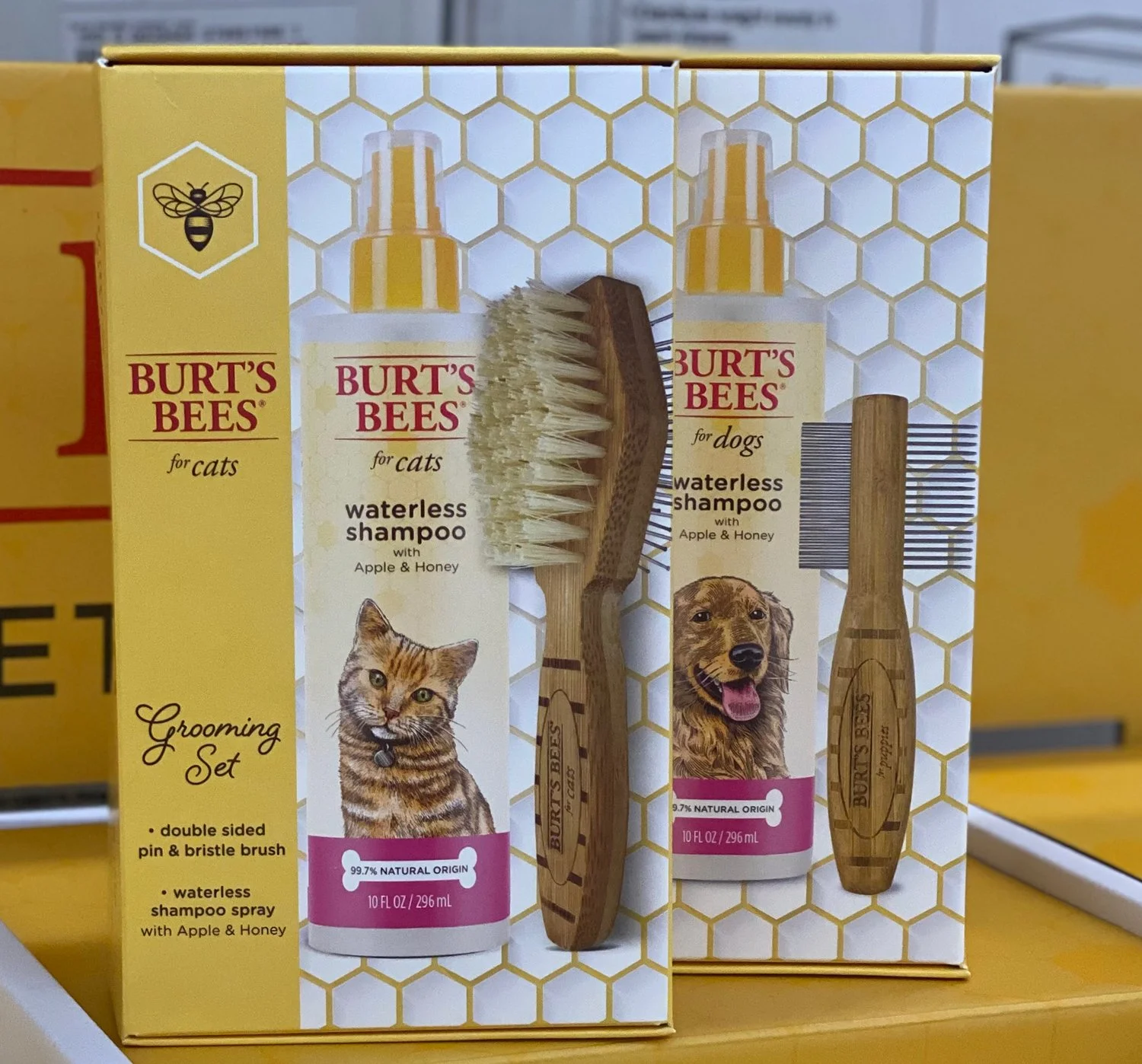 BB-CatSet.jpg