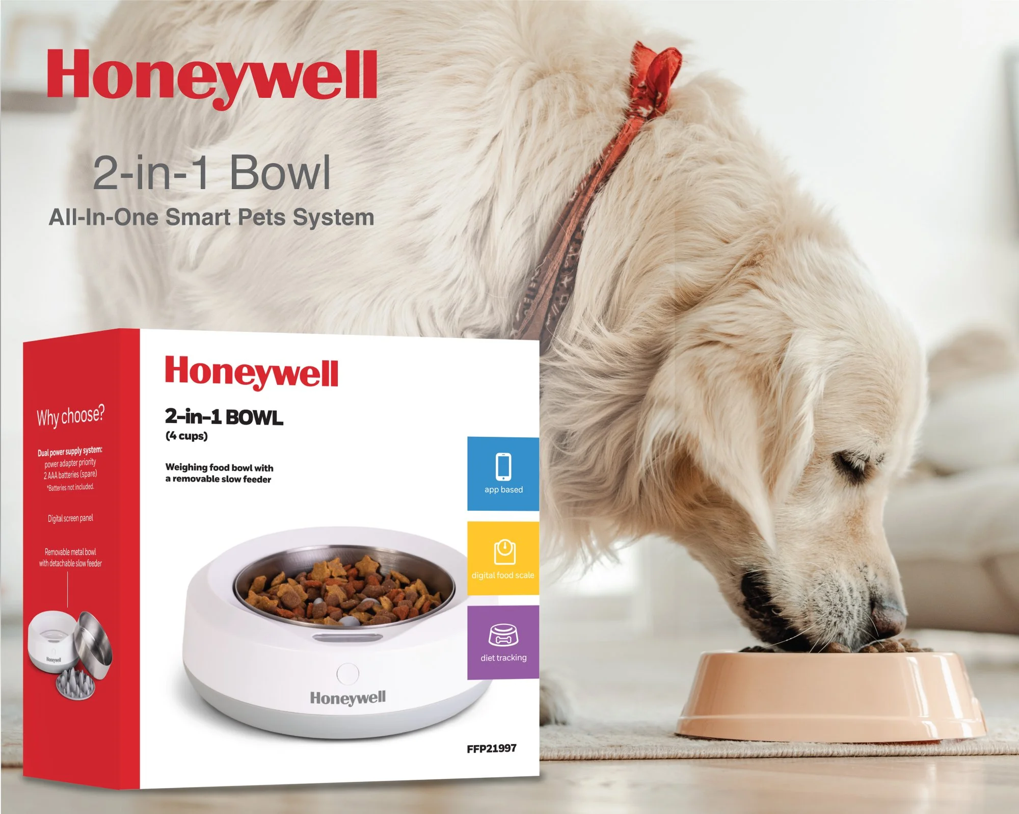 BOWL-FOB.jpg