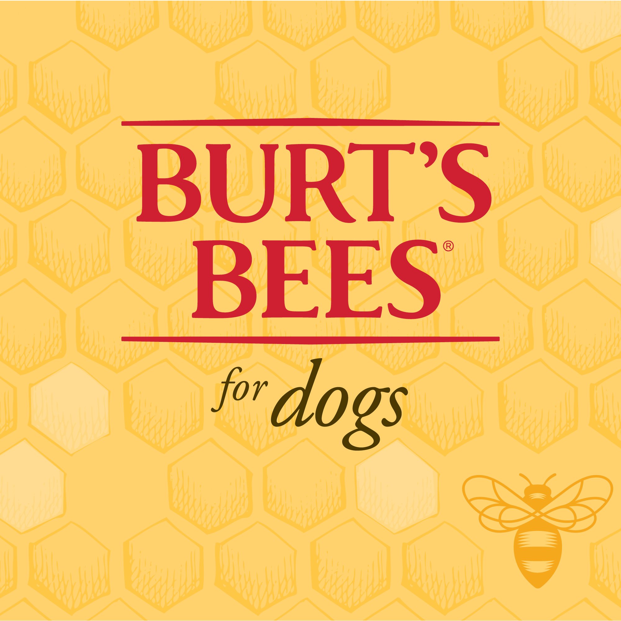 BURTS-BEES-LOGO-PET.jpg