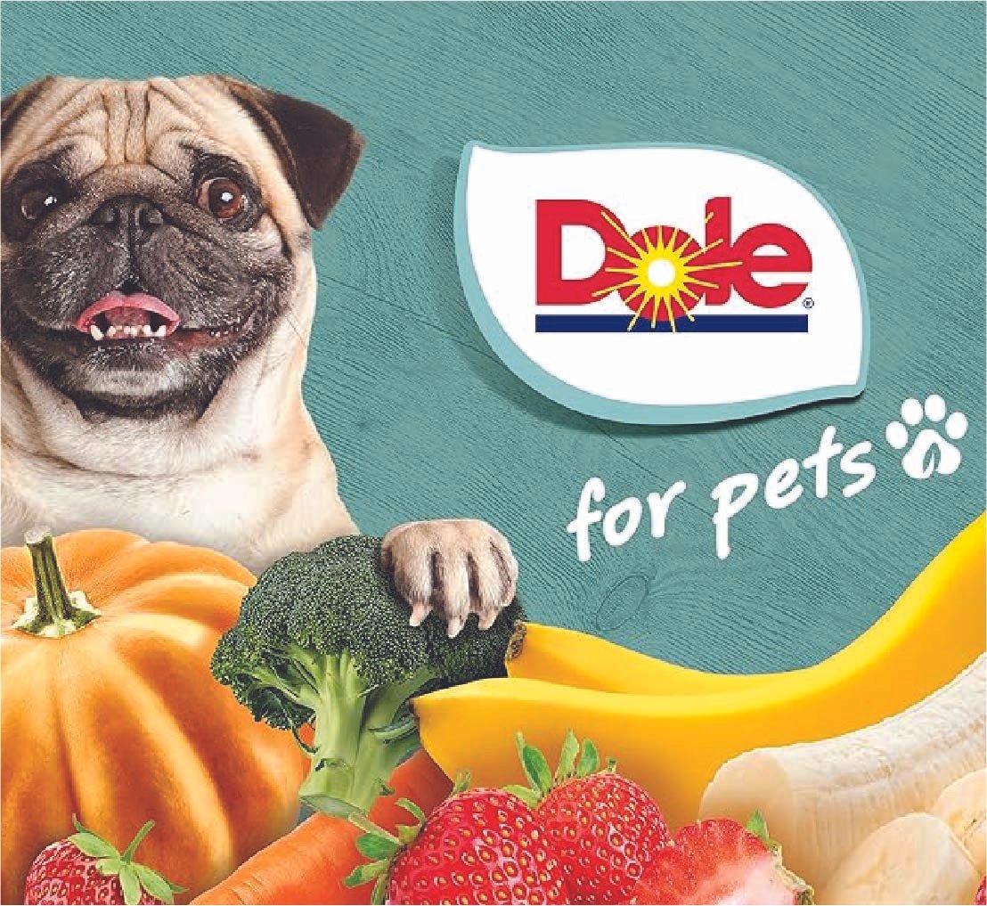 dole logo.jpg