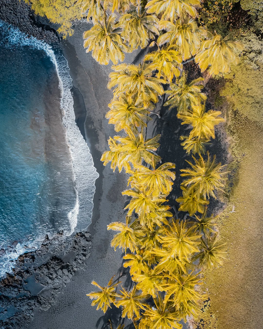 DJI_0081-Edit copy.jpg