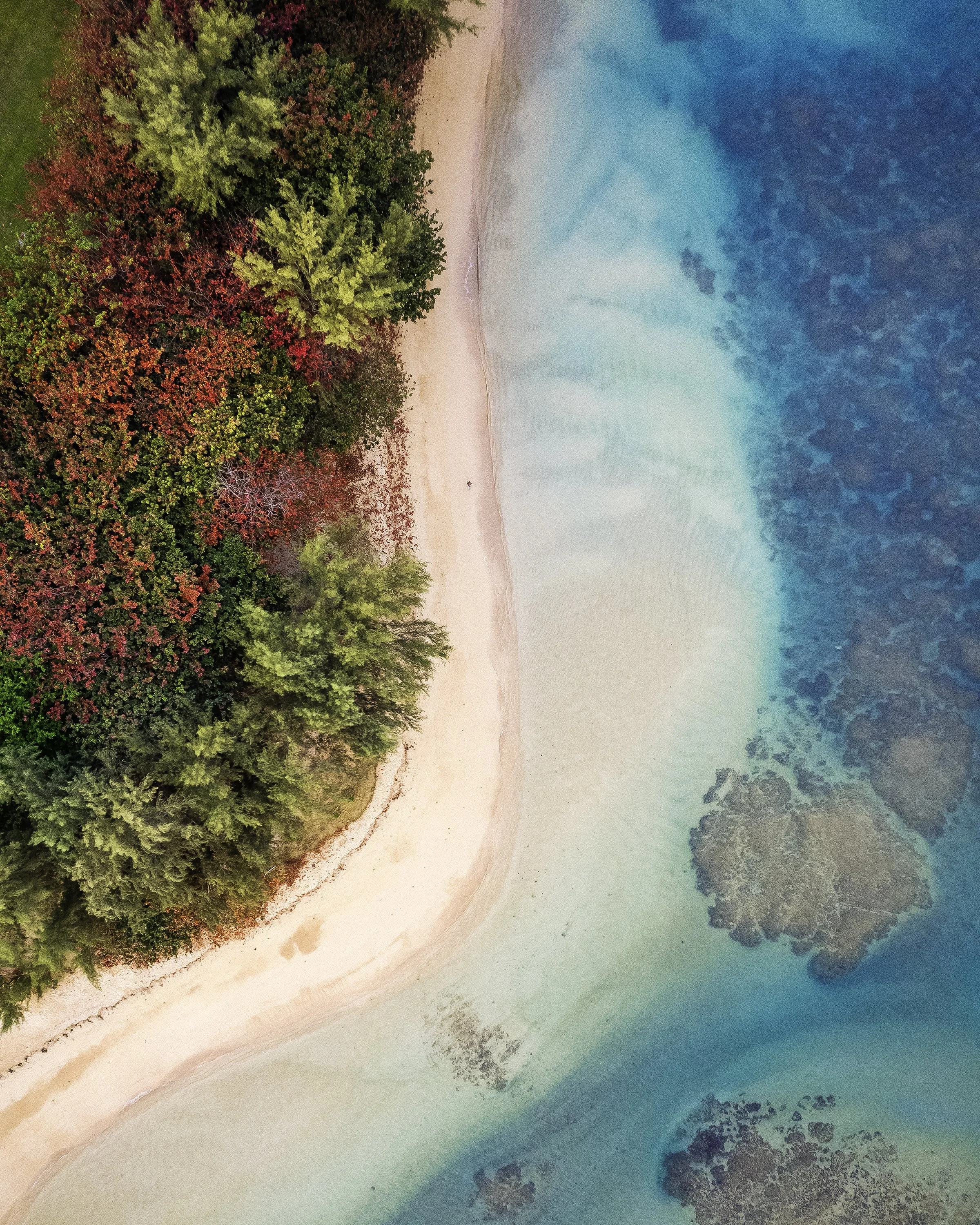 DJI_0110-Edit copy.jpg