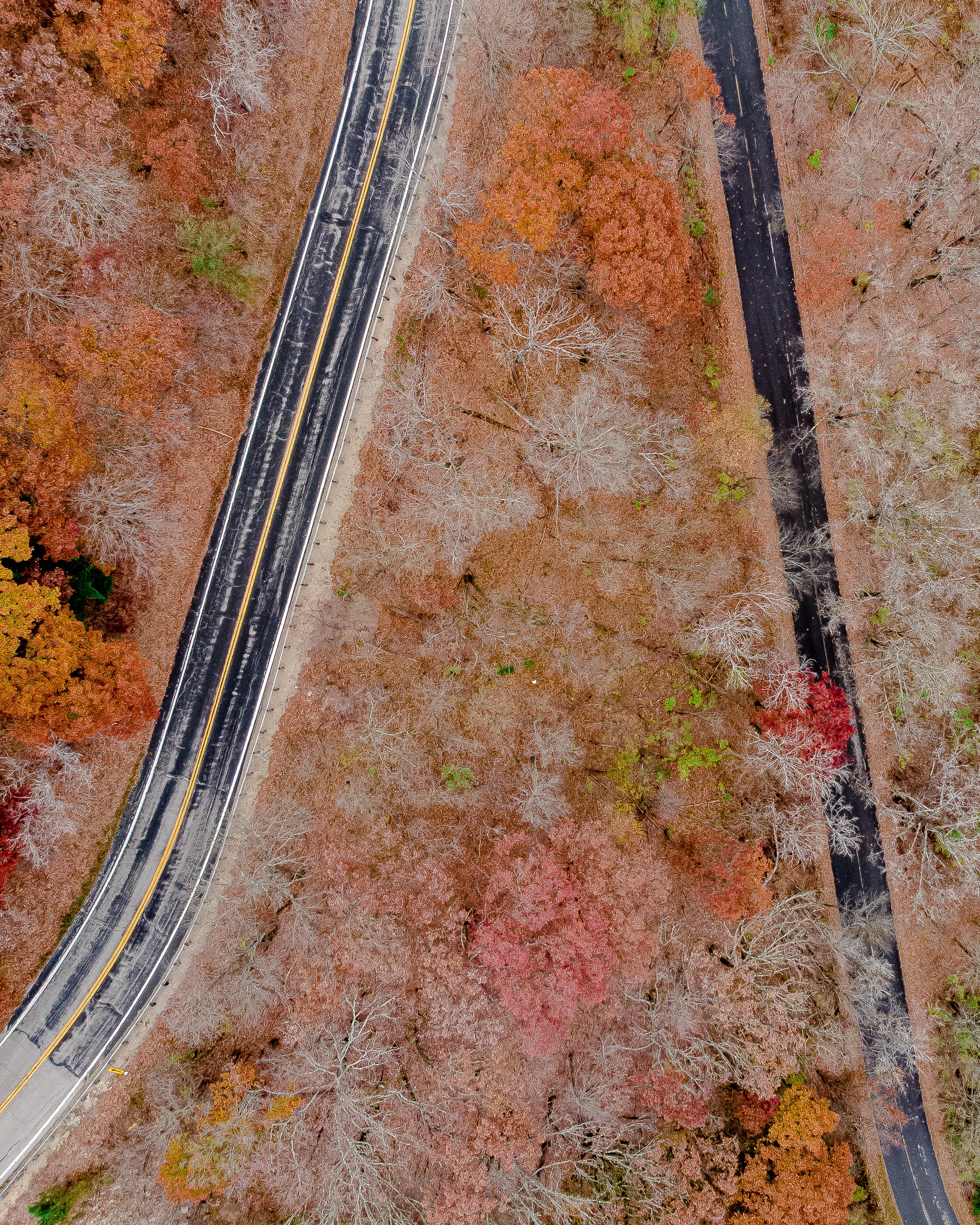 DJI_0585.jpg