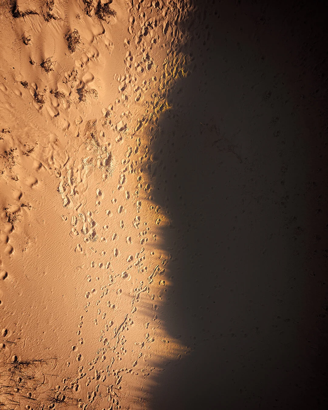 DJI_0725.jpg