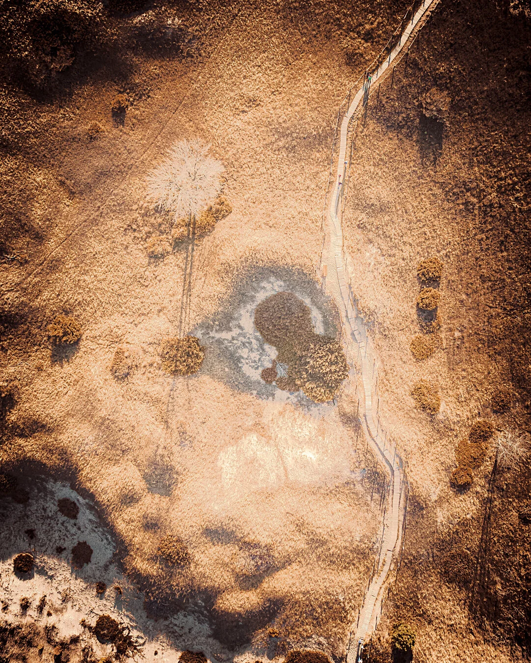 DJI_0757-2.jpg