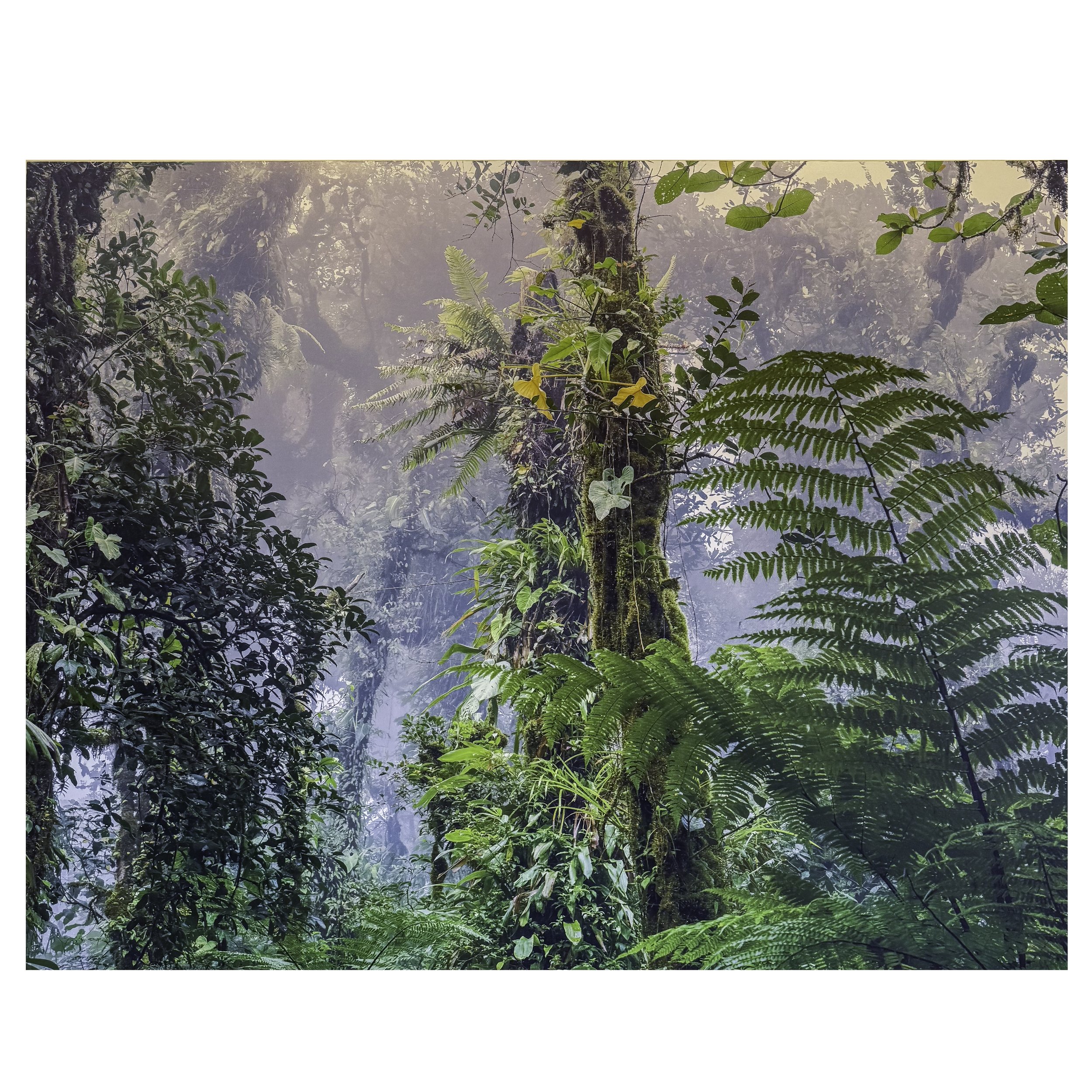 IMG_2444-Edit copy.jpg