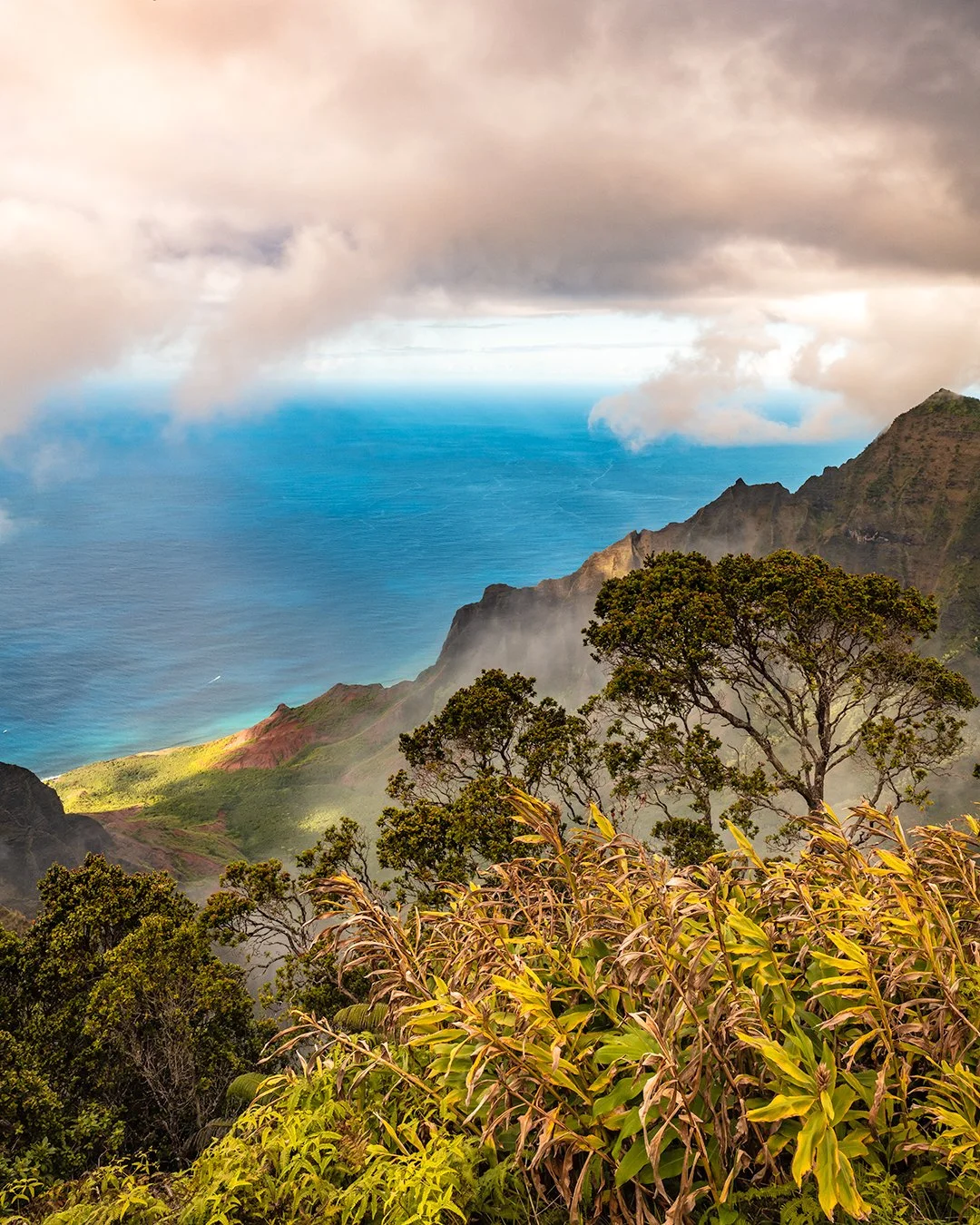 P1194045-Edit copy.jpg