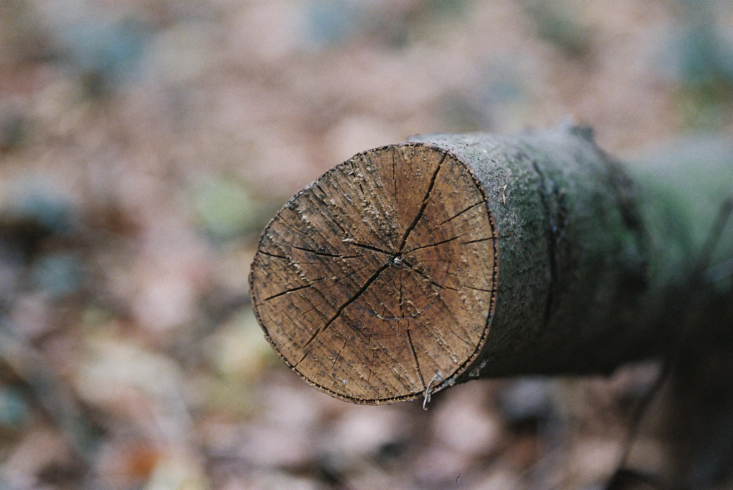log