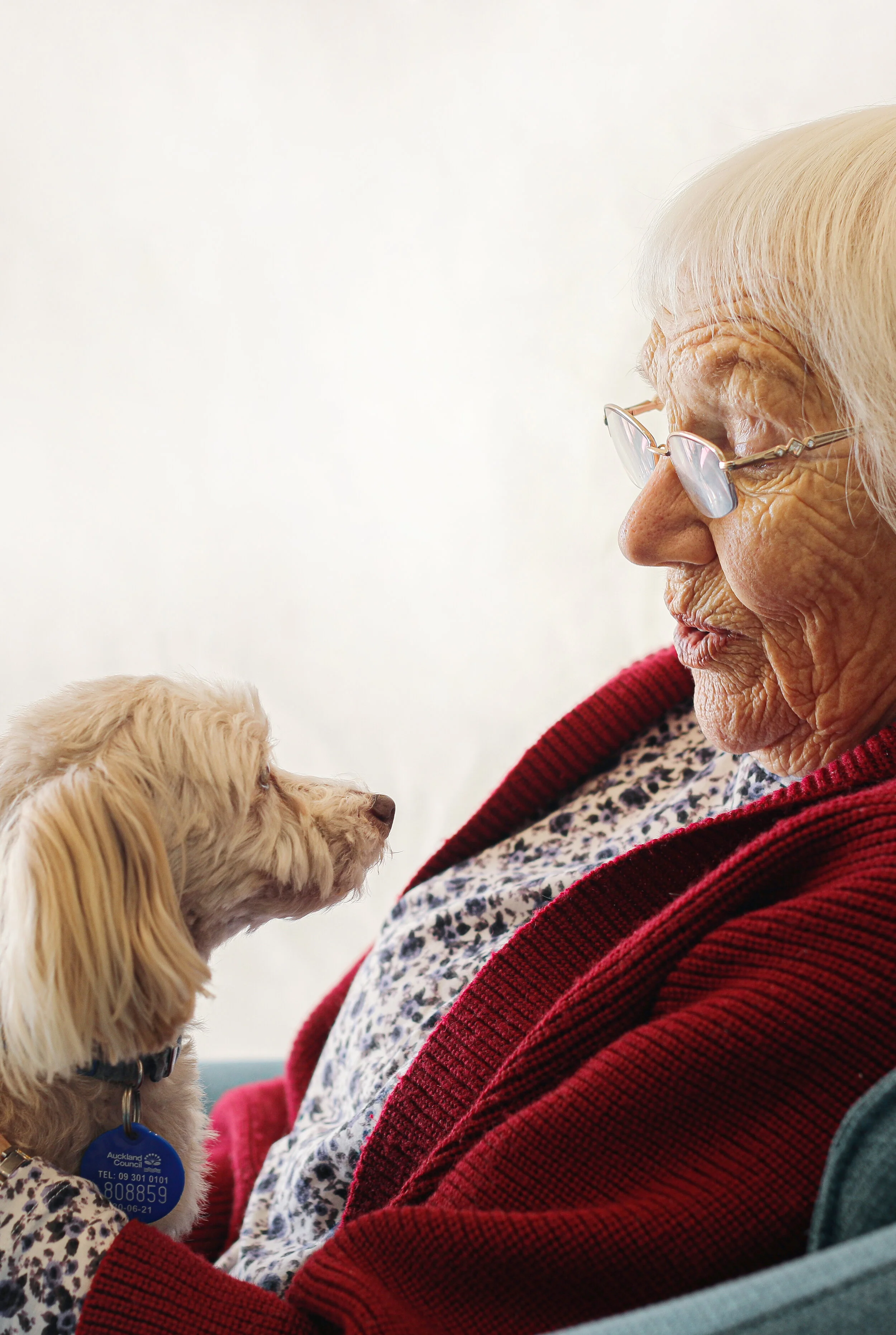 4 x 6 Pet 1 with Owner 5.jpg