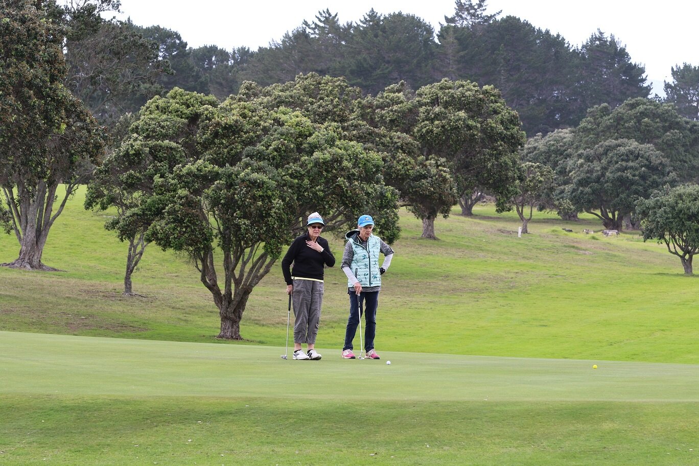 Waipu Golf Club