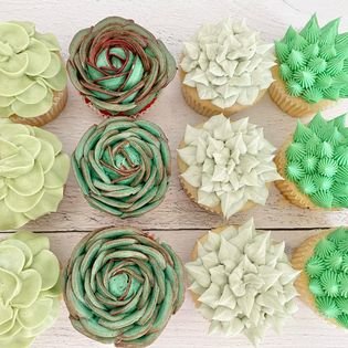 succulent cupcakes.jpg