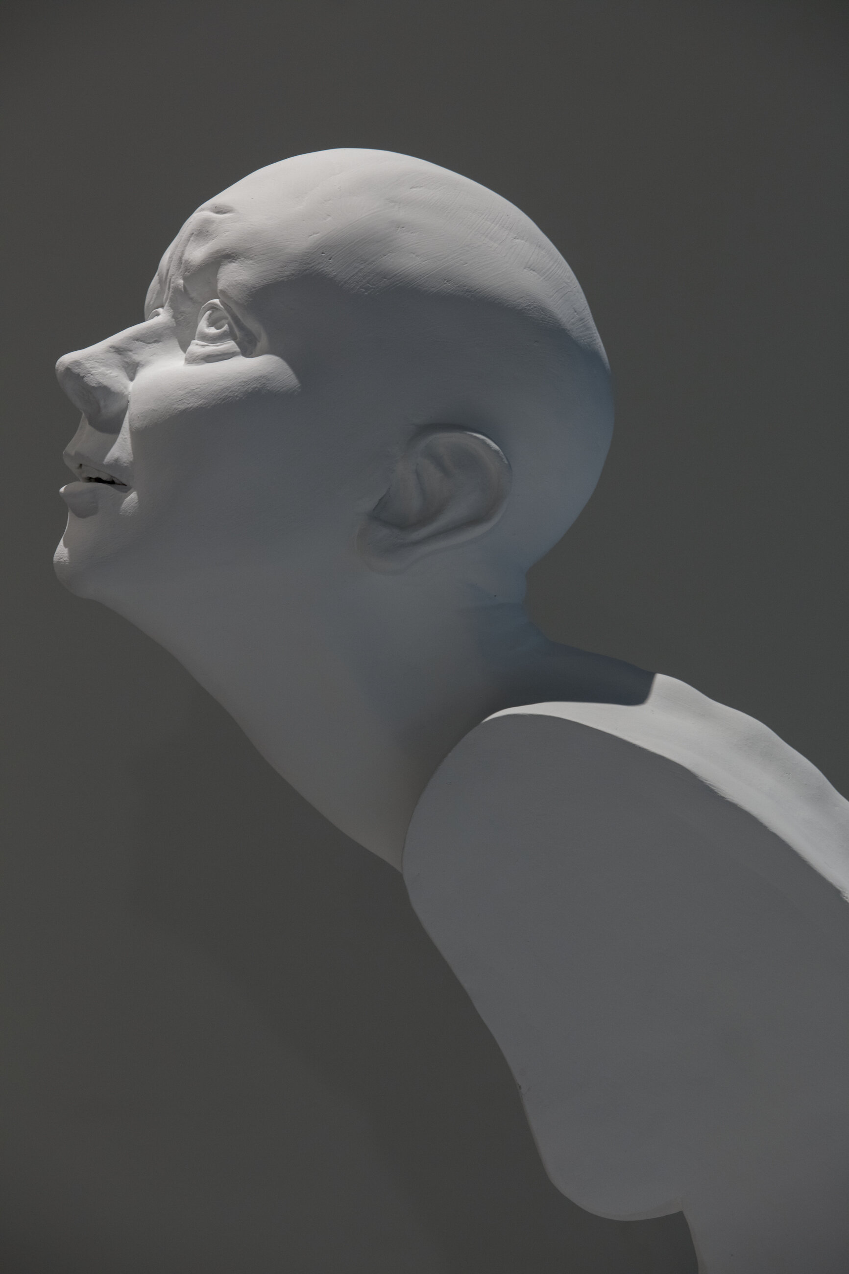 Copy of Sara_Muhlhausen_MFA_Thesis_023.JPG