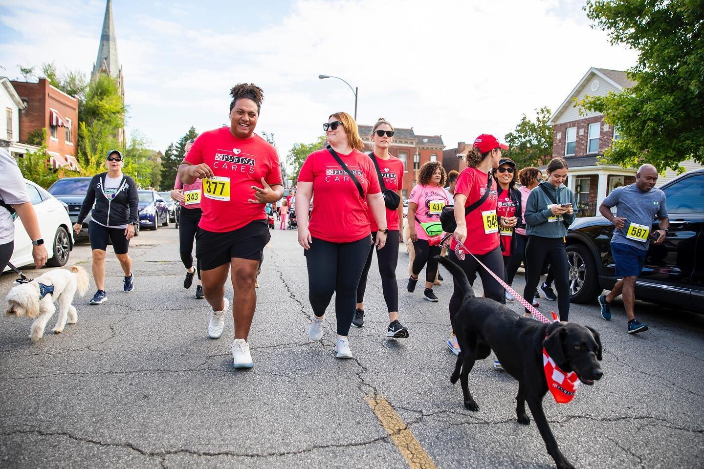 Big Love to @purina for activating the Trap Run Pups! 
This year the whoooole Family came out and enjoying moving and connecting 🐕 
Woof Woof!!! 
.
#purinacares #bettertogether 
#traprun
#traprunstl
#stlmade