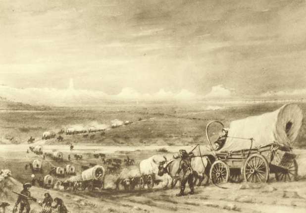 oregonillustration.jpg