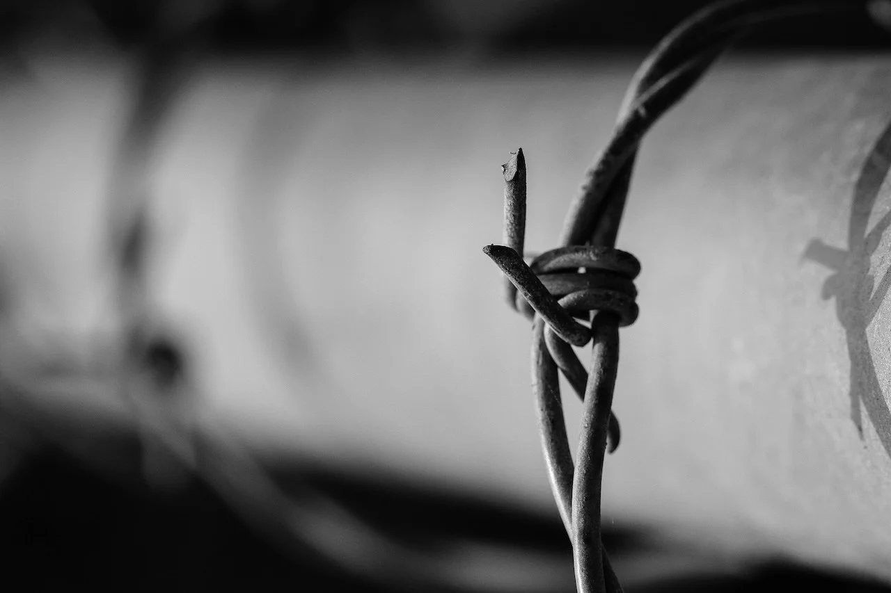 barbed-wire-closeup.jpg
