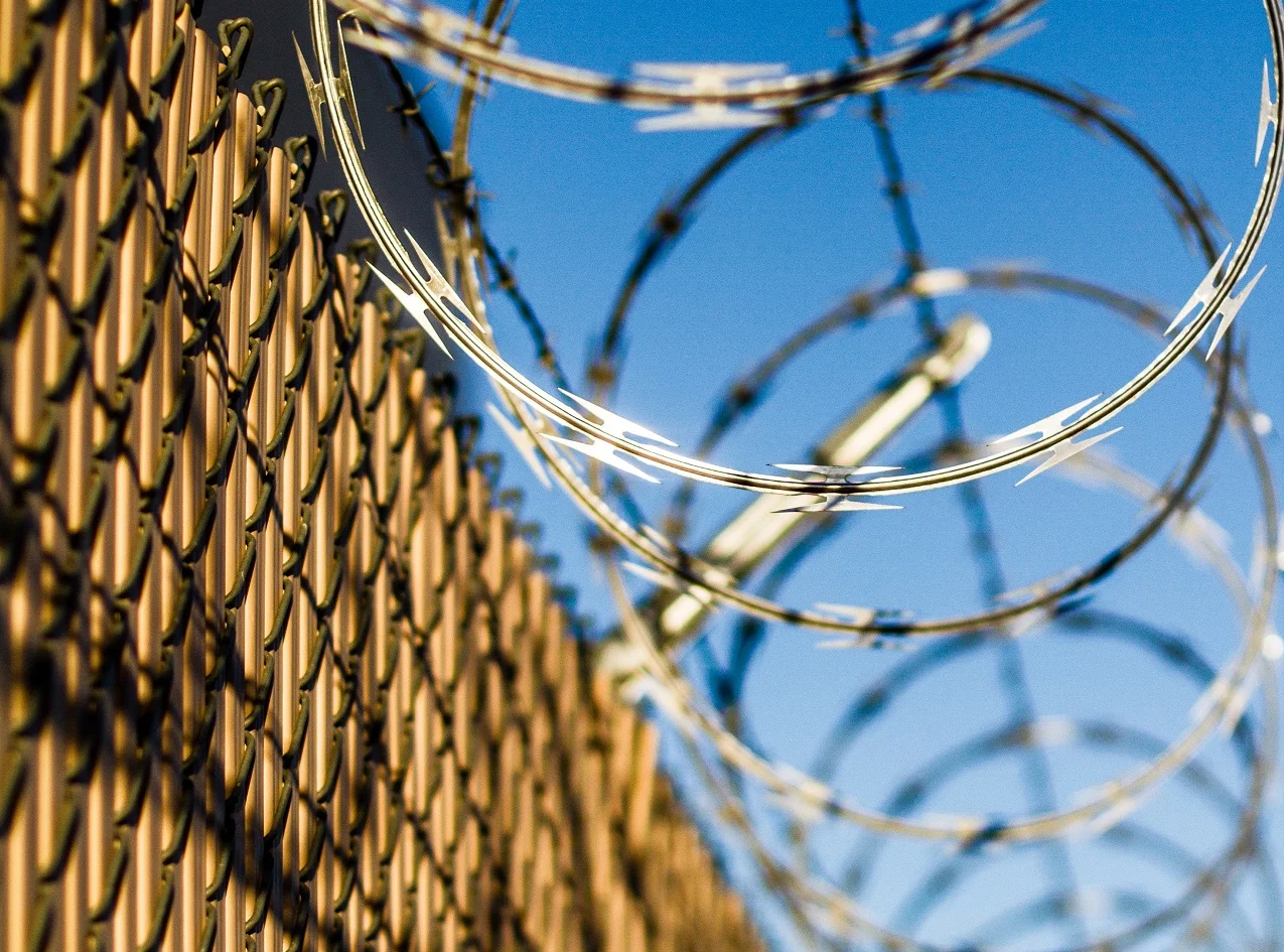 barbed-wire-fence.jpg