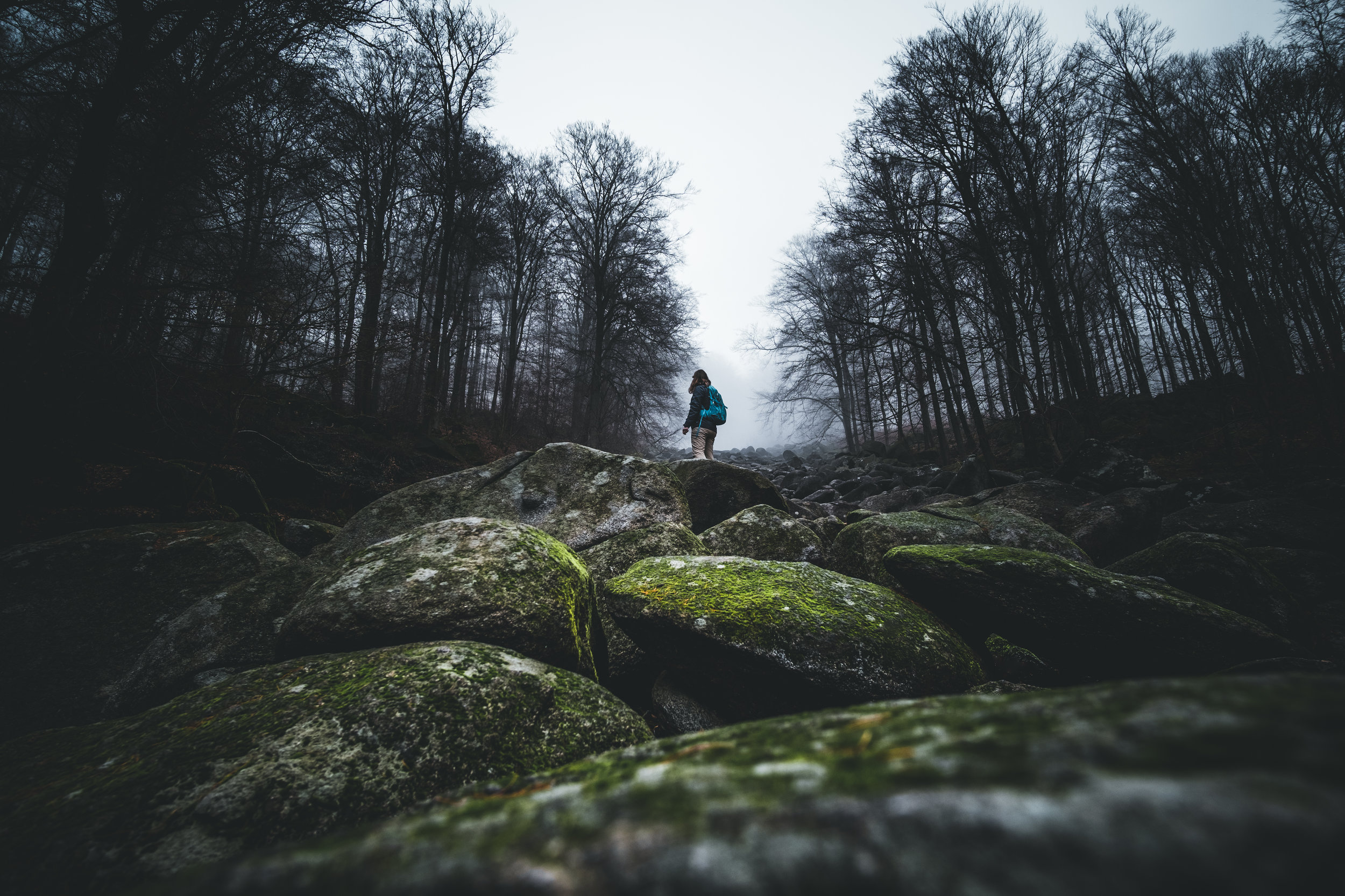  Felsenmeer | Reichenbach 