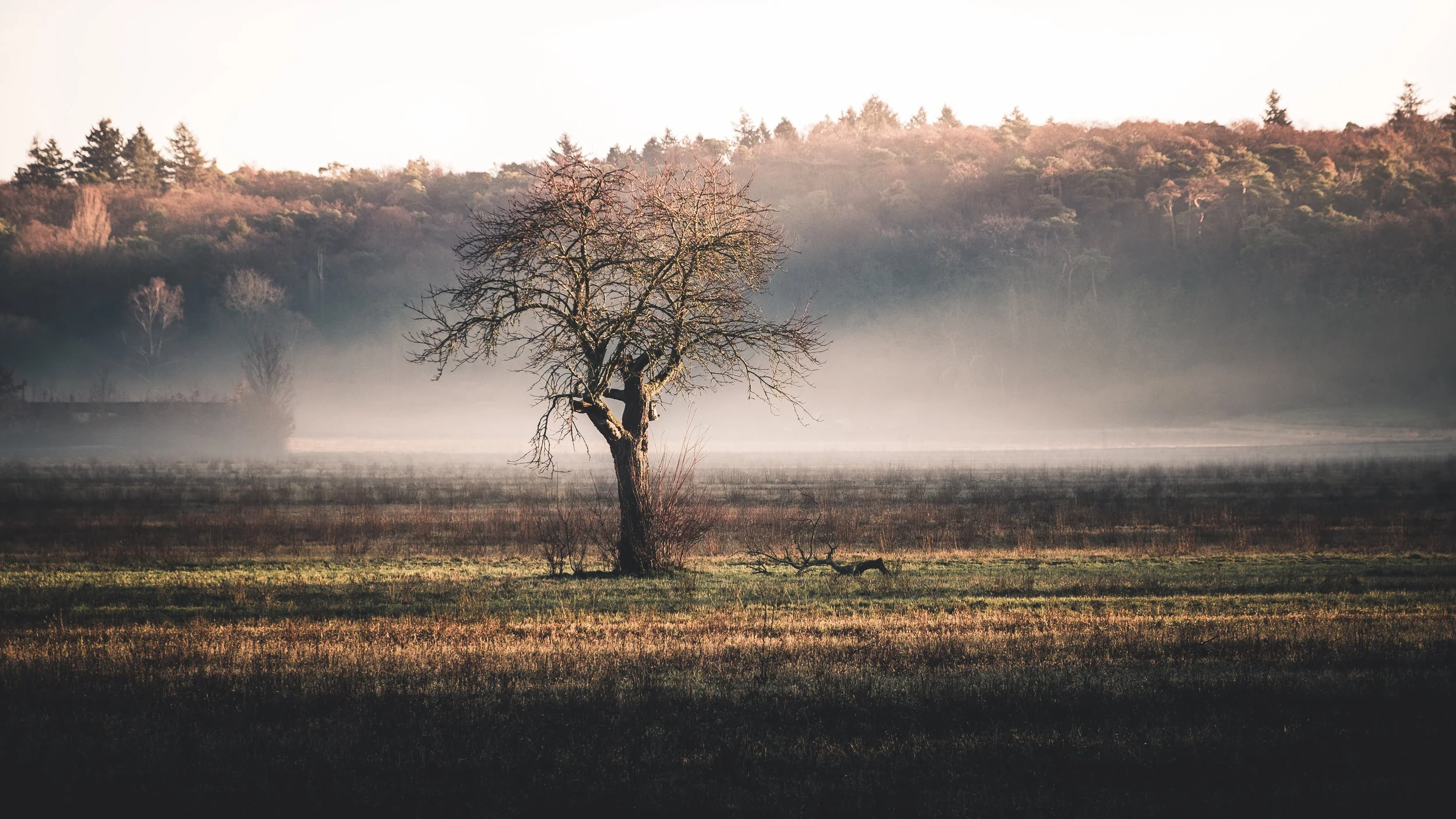 Morning light is flashing in | Modautal