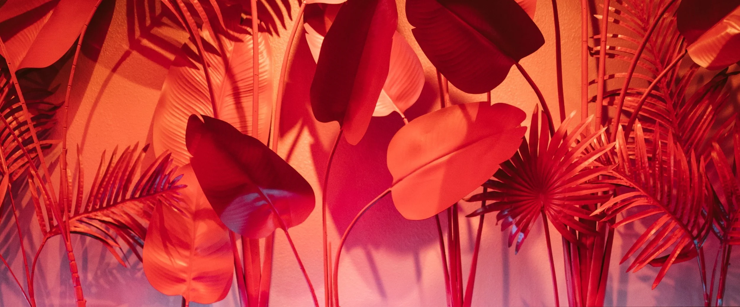 Modern orange tropical design for interior design Spokane