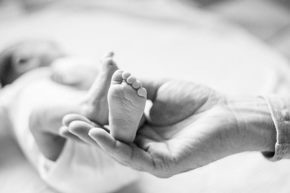 Baby-William-Newborn-Session-Indy-Family-Photo_0032.jpg