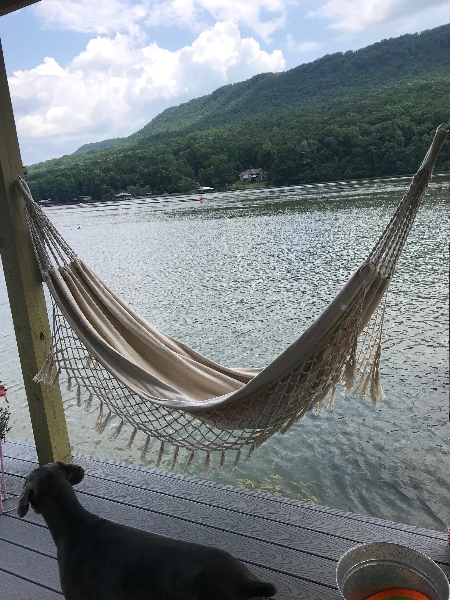 Hammock.jpg