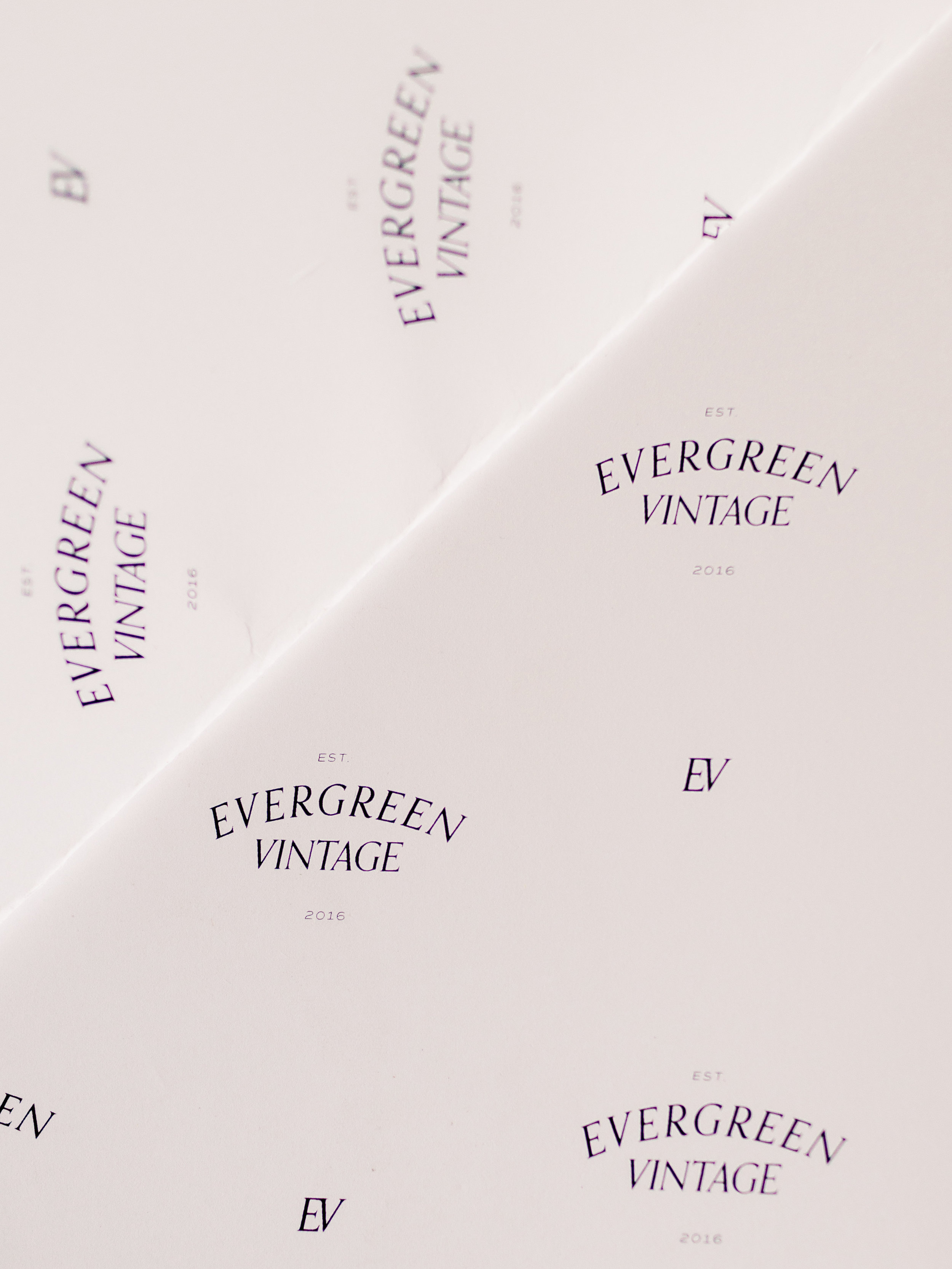Evergreen Bare Process-58.jpg