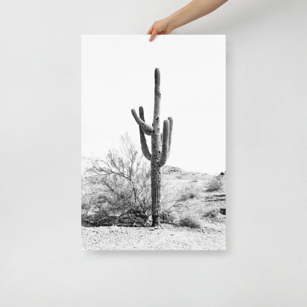 enhanced-matte-paper-poster-(in)-24x36-front-60c392e457423.jpg