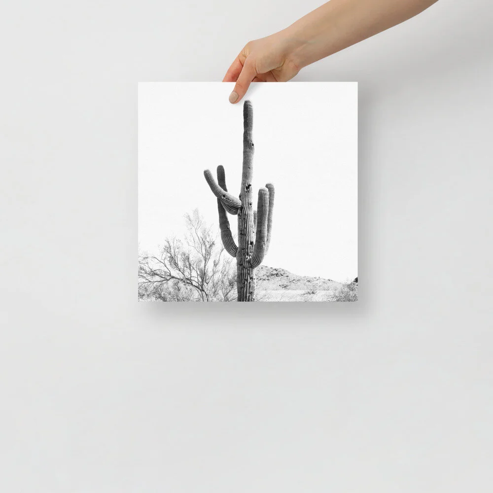 enhanced-matte-paper-poster-(in)-12x12-front-60c392e457555.jpg