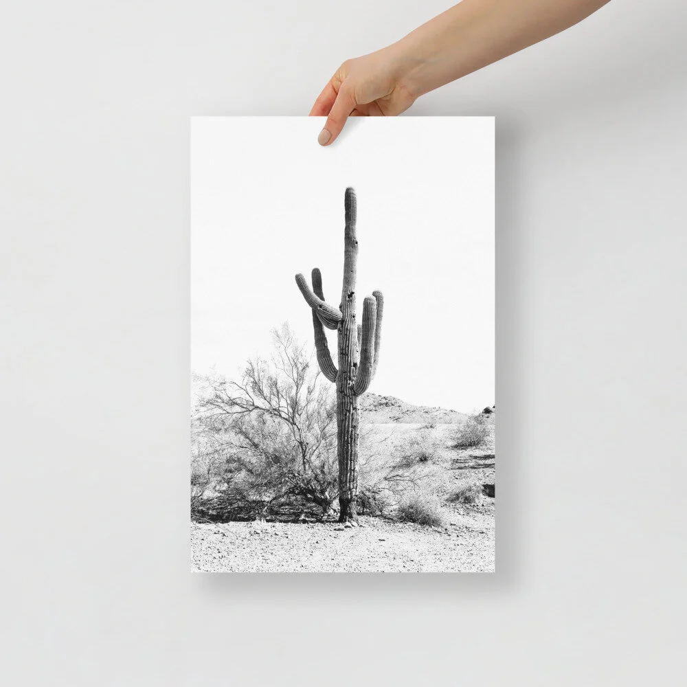 enhanced-matte-paper-poster-(in)-12x18-front-60c392e457640.jpg