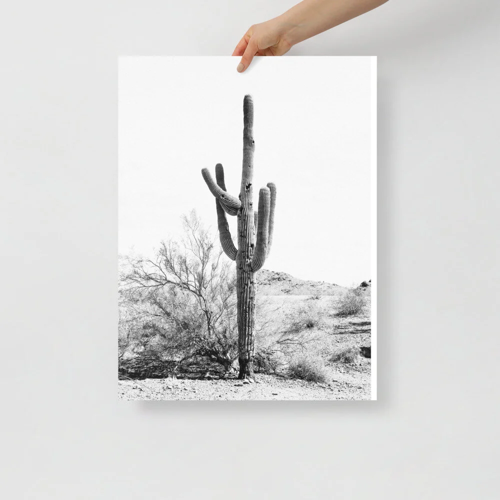enhanced-matte-paper-poster-(in)-18x24-front-60c392e457885.jpg
