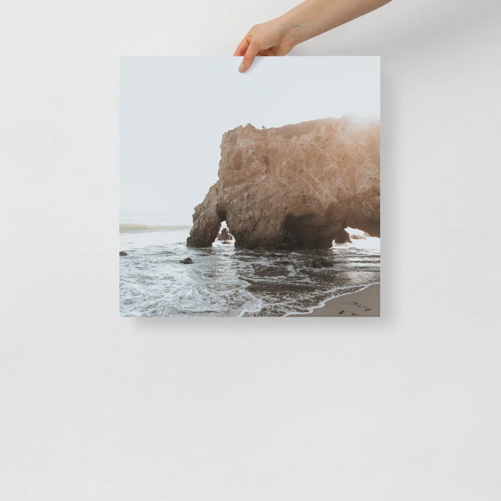enhanced-matte-paper-poster-(in)-18x18-front-60c3996518778.jpg