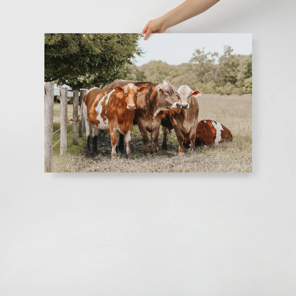 enhanced-matte-paper-poster-(in)-24x36-front-61007894efdb4.jpg