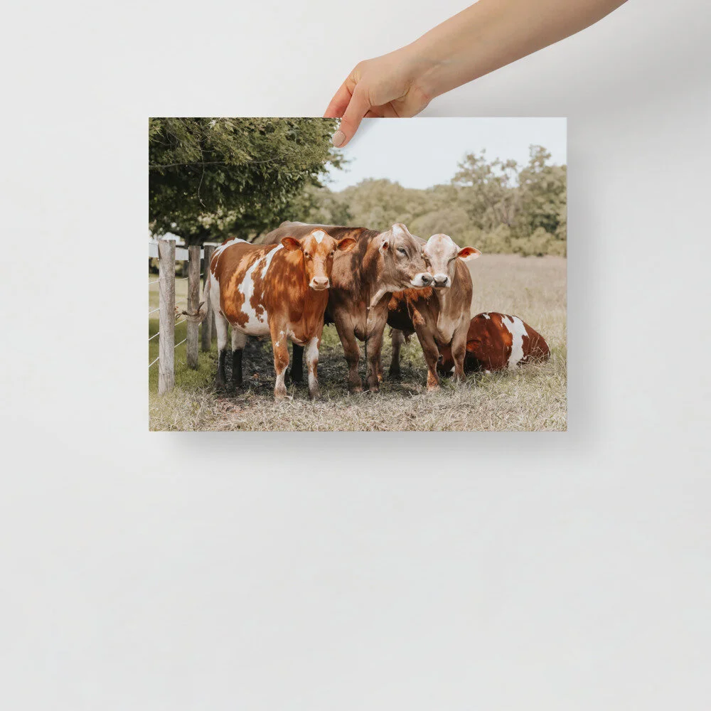 enhanced-matte-paper-poster-(in)-12x16-front-61007894effb4.jpg