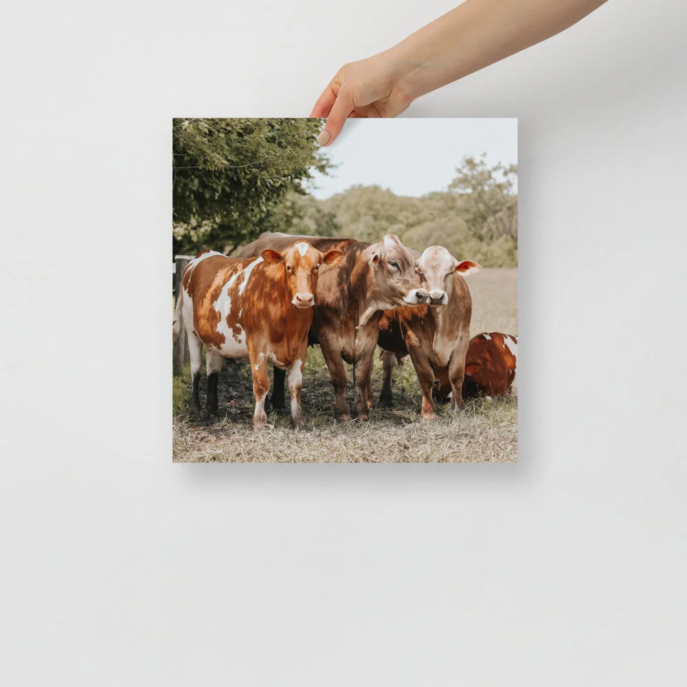 enhanced-matte-paper-poster-(in)-14x14-front-61007894f00cf.jpg